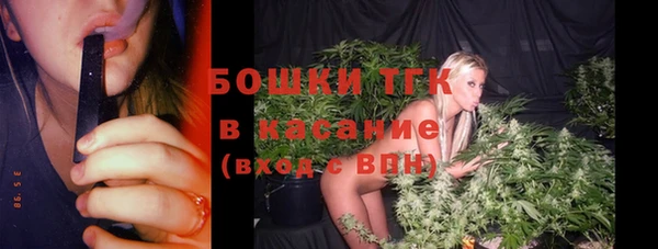 шишки Балабаново