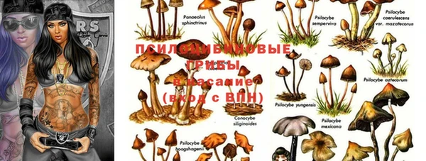 шишки Балабаново