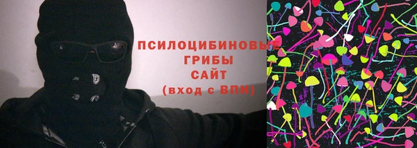 шишки Балабаново