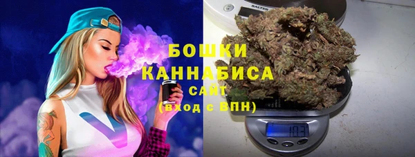 шишки Балабаново