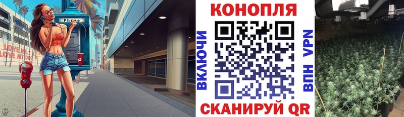 Каннабис сатива  наркошоп  Таруса 